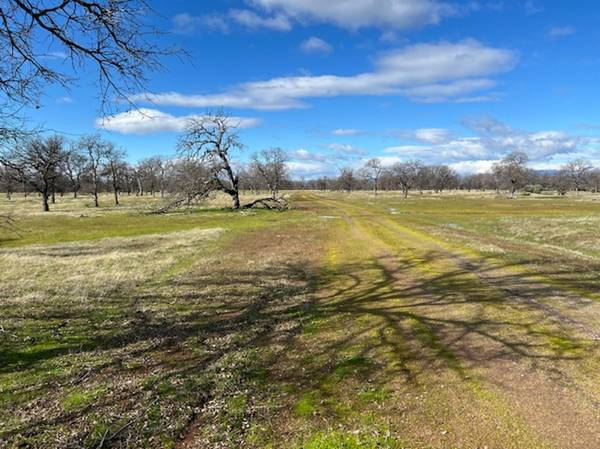 $110,000 COTTONWOOD LOT 28 WITH 40 ACRES,  VIEW AND ACCESS (COTTONWOOD)63972381963139122