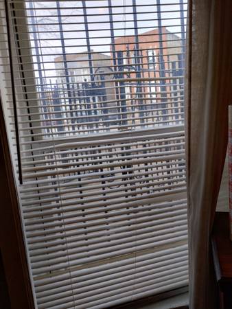 $1,175 / 1br - 600ft2 - Spacious Bright One Bedroom One Full Bath Apt (Illinois Medical District)63959741485954122