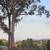 Big, Beautiful 3 bed, 2.5 bath house only $4850 with ocean views!! 19 thumbnail