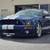 2008 Ford Mustang Shelby GT500 Cobra V8 / 6-Speed Manual / 826 Miles 1 thumbnail