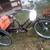 Harley Davidson 3-wheel bicycle 1 thumbnail