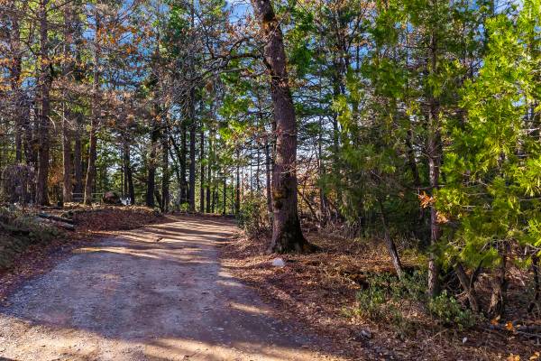 $12,000 Great price for 2.5 acres in Oak Run! (Oak Run)63972530370179120