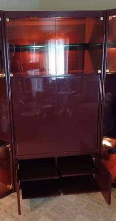 Gabinete de curiosidades / entretenimiento - $75 (South Milwaukee)63470461748481124