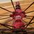 Road Bike Rear Wheel With Novatec F372SB Hub 10 Speed SunRace Cassette 3 thumbnail