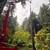 Local arborist 2 thumbnail