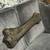 Mammoth leg fossil 4 thumbnail