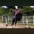 Gymkhana Large quarter pony cross 7 thumbnail