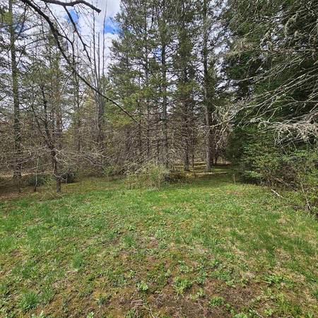 $74,900 36 acres of woods for your recreation needs (Sutton)63992934434307120