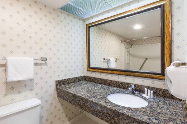 $349 / 1br - 325ft2 - Weekly Furnished Studio Including All Utilities, No Lease Needed! (FM1417 and US Highway 75)63656566923777124
