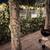 Quiet 2 Bed / 2.5 Bath Townhouse for rent 3 thumbnail