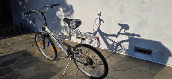 Pacific 5500 Mountain Sportbike 1