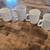 Assorted Mugs 5 thumbnail