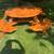 Large round 5 foot picnic table 2 thumbnail