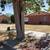 Lawn maintenance & Trash hauling/ junk removal( FREE Estimates!)(El paso) 4 thumbnail