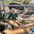 Piglets 3 thumbnail