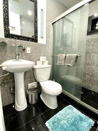 $3,500 / 550ft2 - Cozy Fully Furnished Studio Apartment (East Harlem)64033800167683121