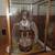 2 Sharp Tail Grouse with Glass Cases 1 thumbnail