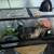 40 gallons tank ball python enclosure 1 thumbnail
