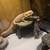 Bearded dragon 6 thumbnail