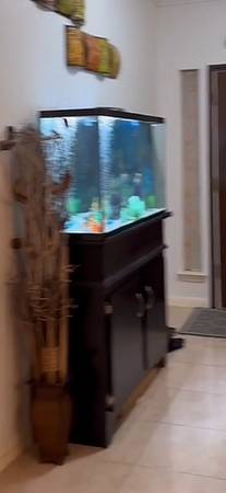 55 Gallons Fish Tank with Stand 1