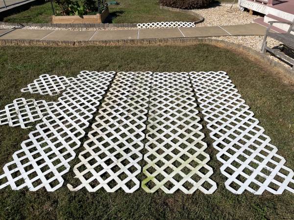 Plastic Lattice 1