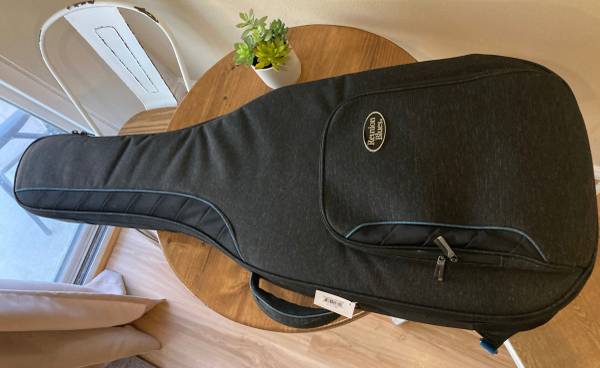 335 Guitar Case 1
