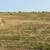 Round Bales 1 thumbnail