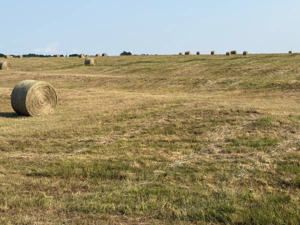 Round Bales 1