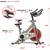 Sunny Health & Fitness Pro II Stationary Exercise Bike 2 thumbnail