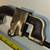 craftsman N2R pipe cutter 4 thumbnail
