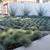 !!!UNBEATABLE LANDSCAPING AND TREE SERVICES !!!! 5 thumbnail