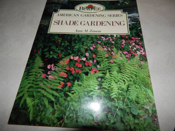 Burpee Shade Growing 1