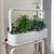 Click and Grow Smart Garden 27 5 thumbnail
