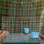 Custom Travel carrier small animal pet transport wire bottom 16x10x11 cage in Fa 1 thumbnail