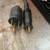 MIG Welding machine 7 thumbnail