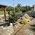 Landscaping services (next level quality) - Many other services also 10 thumbnail