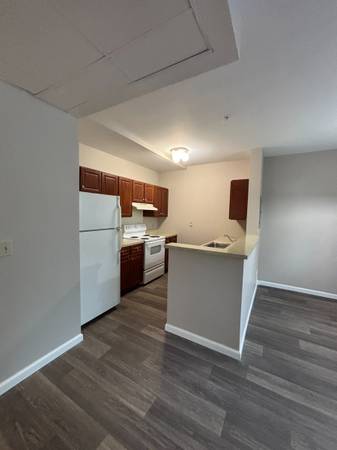 $765 / 1br - Newly Renovated 1 Bedroom (Saint Louis)63770209361283120