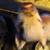 Mini pigs 3 thumbnail