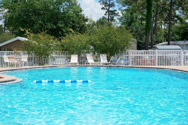 $1,599 / 3br - 1152ft2 - Live in the heart of it all! Gainesville's prime neighborhood awaits. (Gainesville)63822864125697122