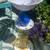 Unique Birdbaths 1 thumbnail