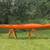 Wilderness Systems Tempest 170 Sea Kayak 2 thumbnail