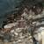 HUGE LOT FIRE WOOD Fireplace Fire Pit Twigs Logs Pre-Cut Ready To Use 3 thumbnail