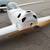 Rutan Model 54 experimental (Quickie) 2 thumbnail