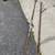Tree trimmers (x2) 1 thumbnail