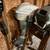 1950’s Johnson Boat Motors 2 thumbnail