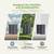 New 5 x 3 FT Outdoor Storage Cabinet Plastic Shed Patio Storage Shed with Stable 6 thumbnail