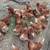 I SELL CHICKENS!!!!! 1 thumbnail