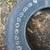 255 75 17 Firestone Destination 1 tire No miles 2 thumbnail
