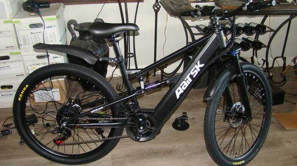 Temu Ebike 1