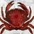 RED CRAB Print in Wood Frame 2 thumbnail